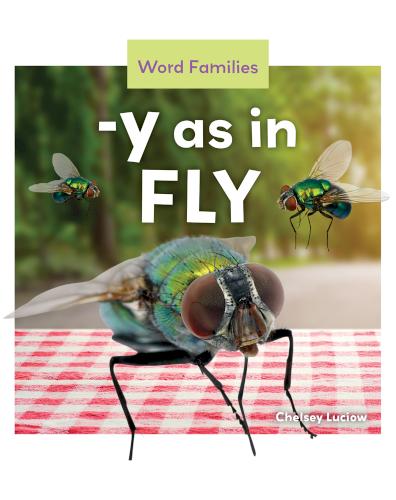 -Y as in Fly