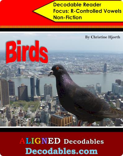 Birds