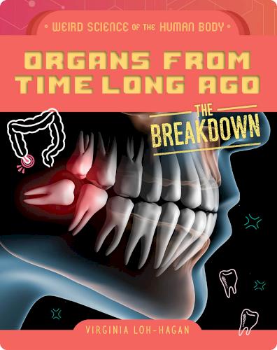 Organs From Time Long Ago