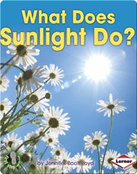 What Does Sunlight Do?