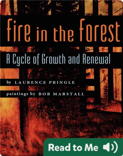 Fire in the Forest: A Cycle of Growth and Renewal