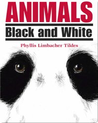 Animals: Black and White