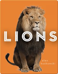 Zoo Animals: Lions