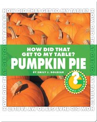 How Did That Get To My Table? Pumpkin Pie