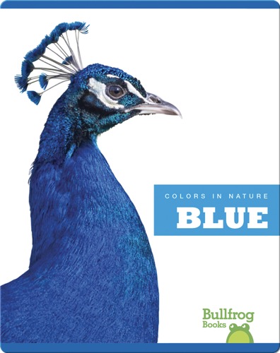 Colors In Nature: Blue