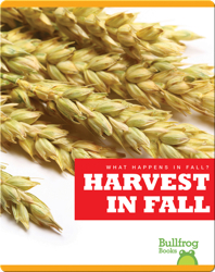 What Happens In Fall? Harvest In Fall