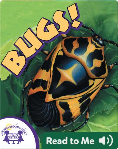 Bugs!