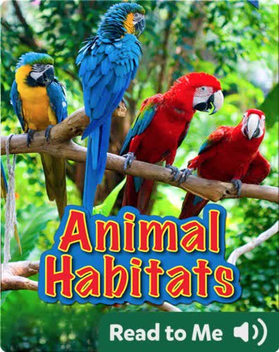 Animal Habitats