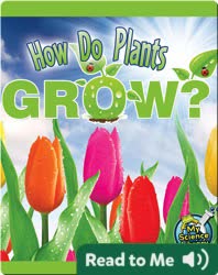 How Do Plants Grow?