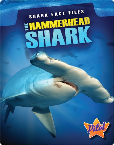 Shark Fact Files: The Hammerhead Shark