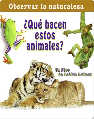 ¿Qué hacen estos animales?
