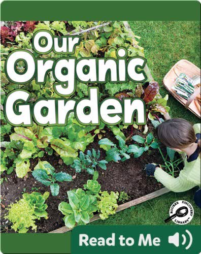 Our Organic Garden