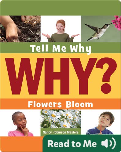 Flowers Bloom
