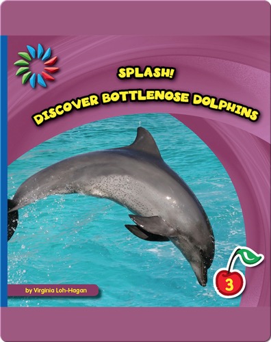 Discover Bottlenose Dolphins