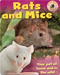 Rats and Mice