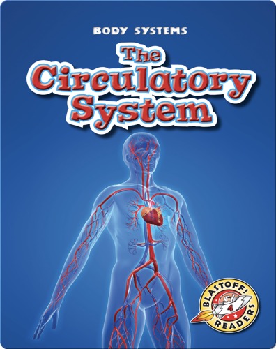 The Circulatory System