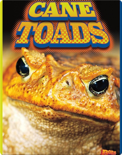 Cane Toads