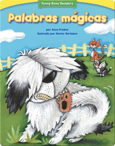 Palabras mágicas