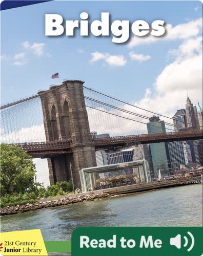 Bridges