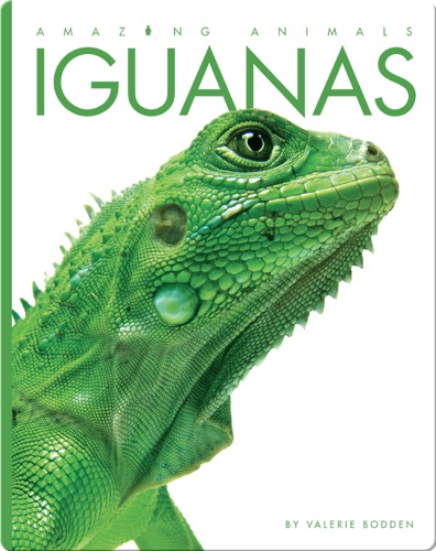 Iguanas