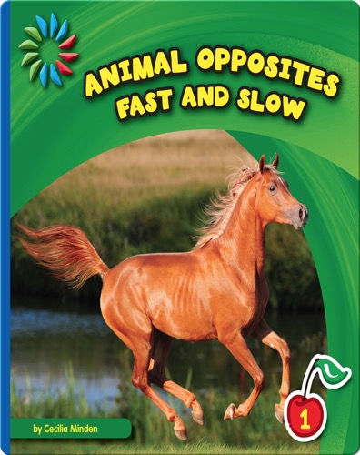 Fast and Slow
