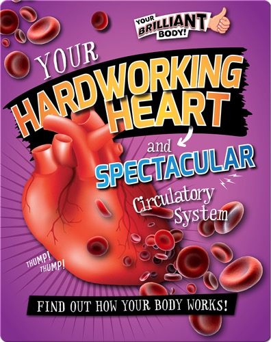 Your Hardworking Heart and Spectacular Circulatory System