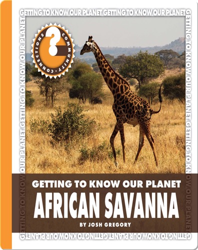 African Savanna