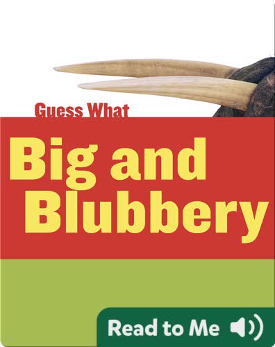 Big and Blubbery