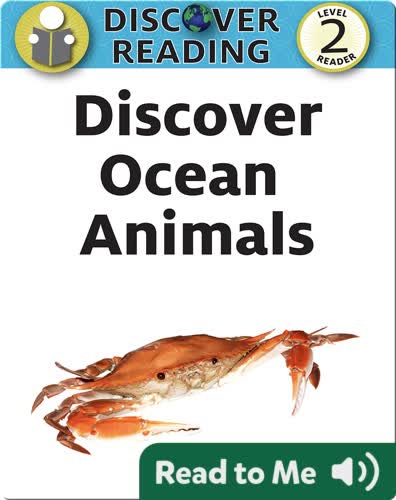 Discover Ocean Animals