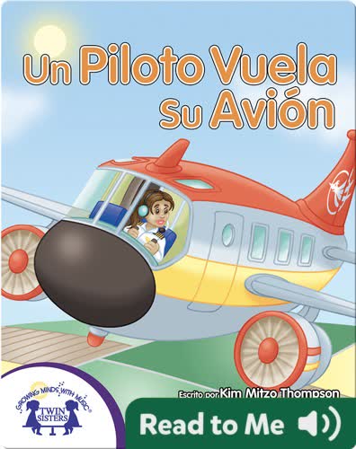 Un Piloto Vuela Su Avión