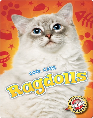Ragdolls