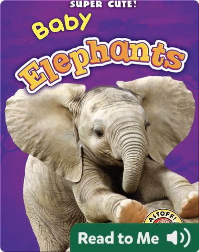 Super Cute! Baby Elephants