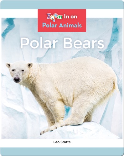 Polar Bears