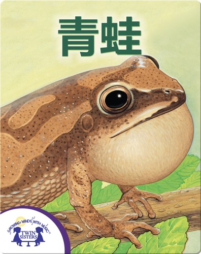 青蛙！