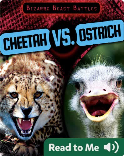 Cheetah vs. Ostrich