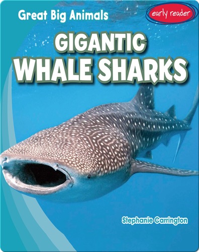 Gigantic Whale Sharks