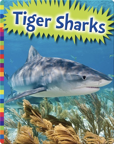 Tiger Sharks