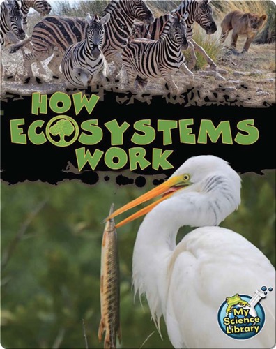 How Ecosystems Work