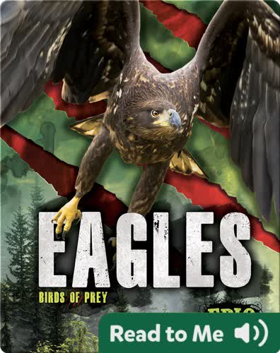 Eagles