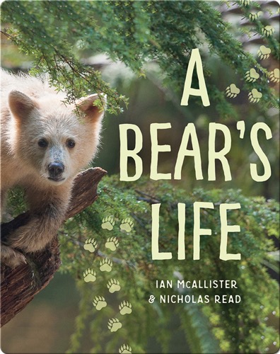 A Bear's Life