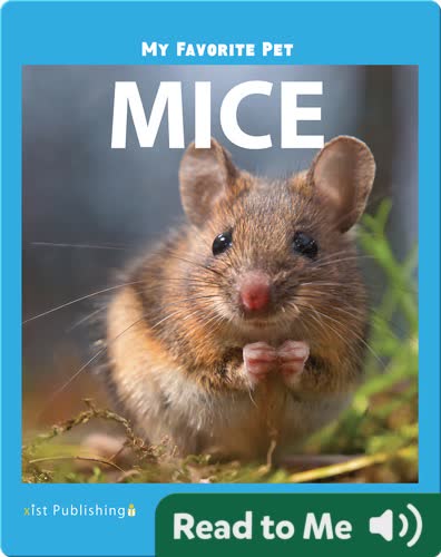 My Favorite Pet: Mice