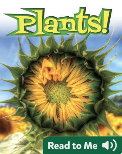 Plants!
