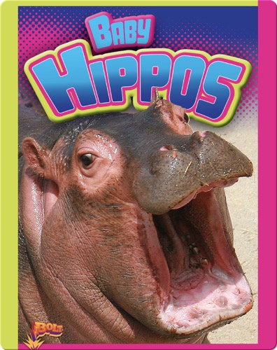 Baby Hippos