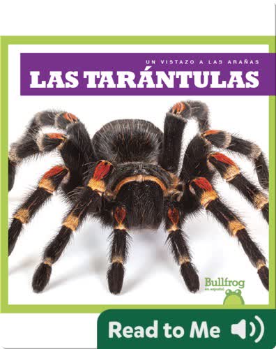 Las tarántulas