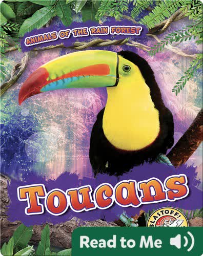 Toucans