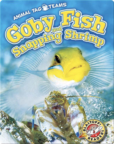 Goby Fish and Snapping Shrimp