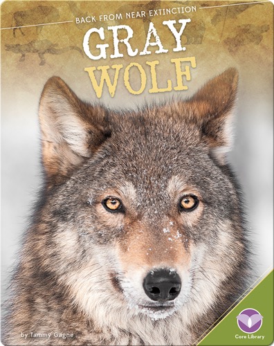 Gray Wolf