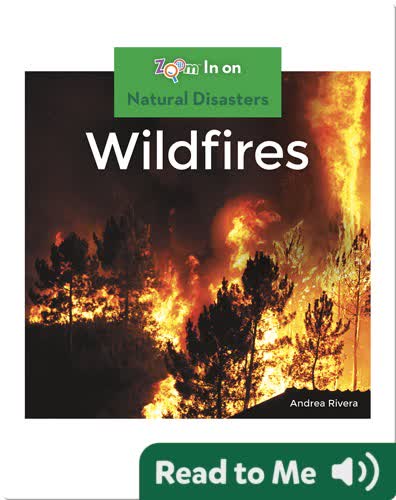 Wildfires