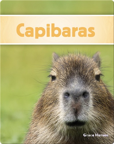 Capibaras