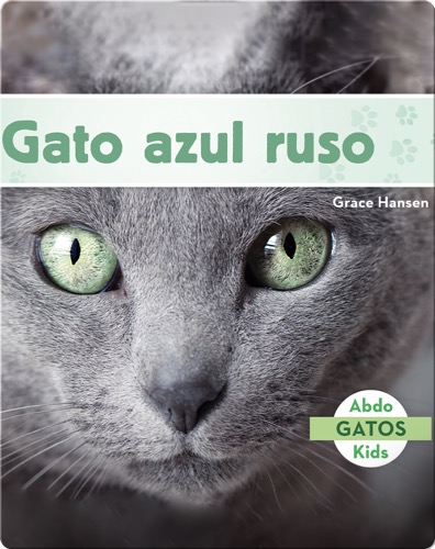 Gato azul ruso